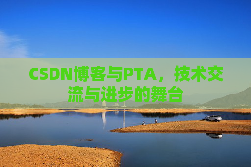 CSDN博客与PTA，技术交流与进步的舞台