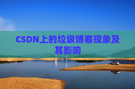 CSDN上的垃圾博客现象及其影响
